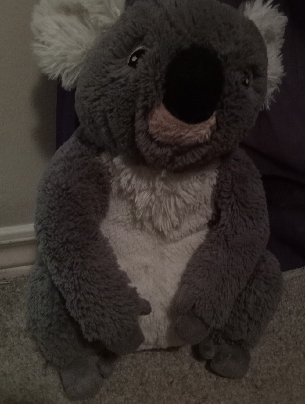 Stuffed Animal